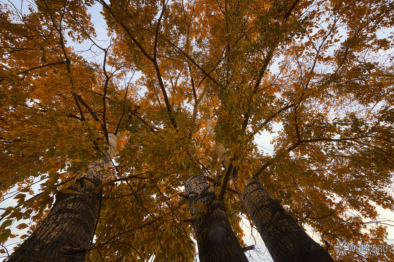Осенний Кемерово Фото