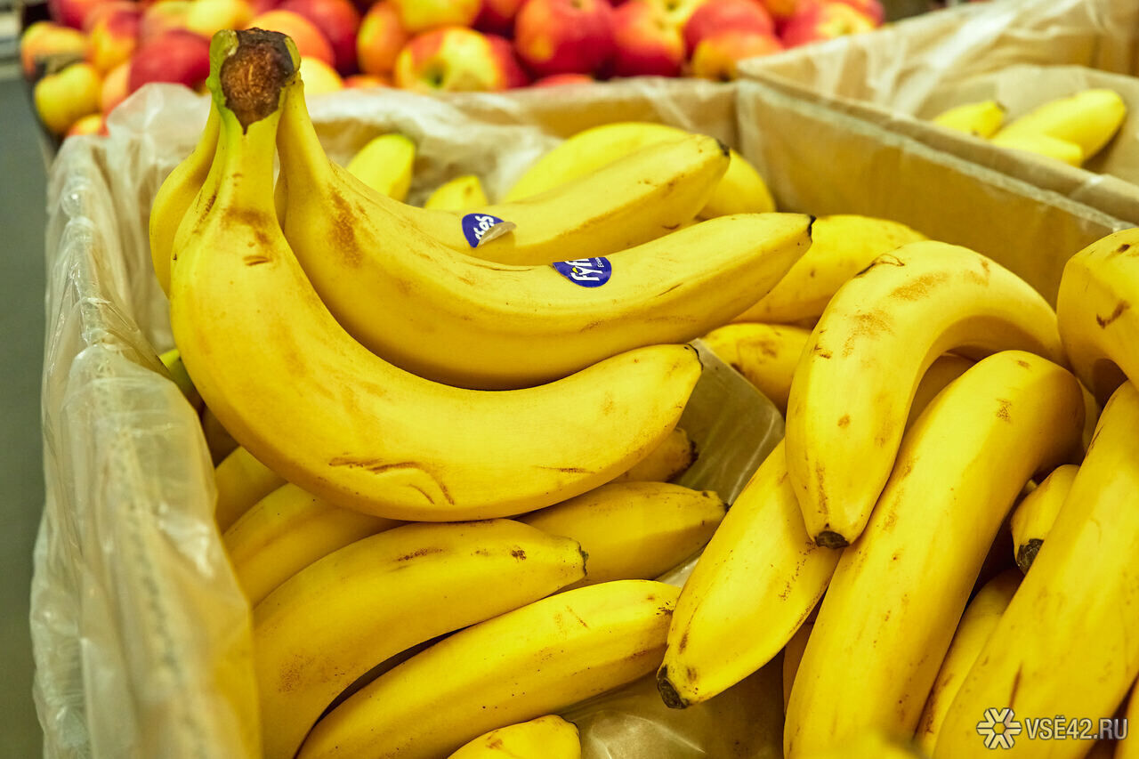 мексиканский банан. бананы из эквадора. поставщики бананов. эквадорские бананы. производители бананов.