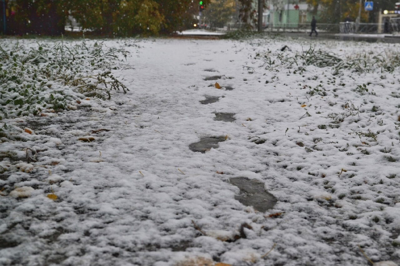 В новгороде выпал снег. Первый снег в Новосибирске. Сибирь снег. Снег сыпется. Снег в Троицке.