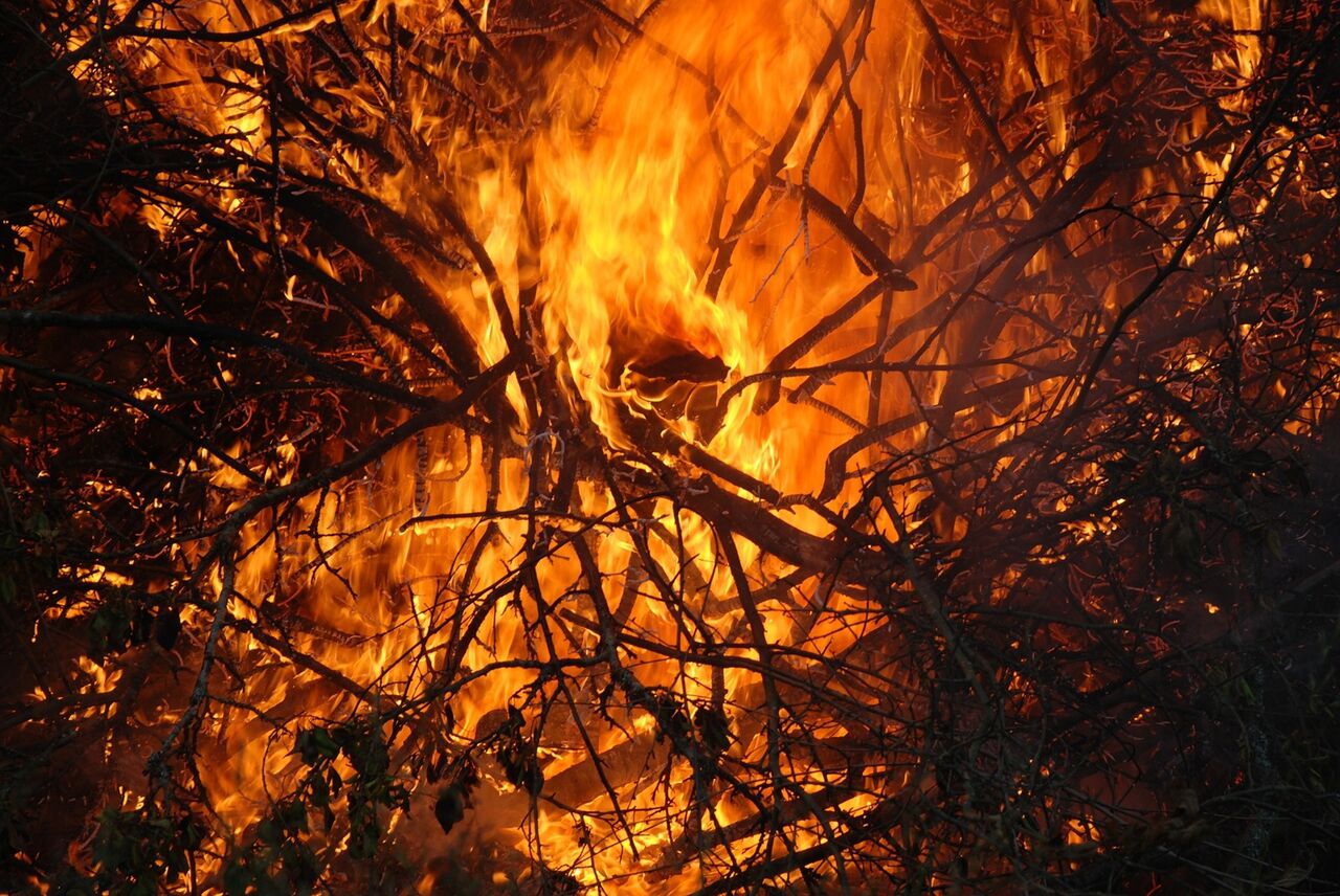 Расширенные пожары. Горящий лес. Огонь вблизи. Огонь вблизи фото. Кемеровский ГРЭС пожар.