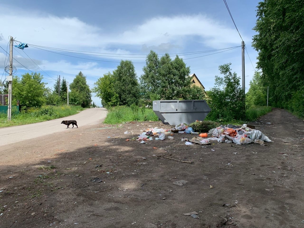 Чистый город кемеровской. Чистый город Березовский Кемеровская область.