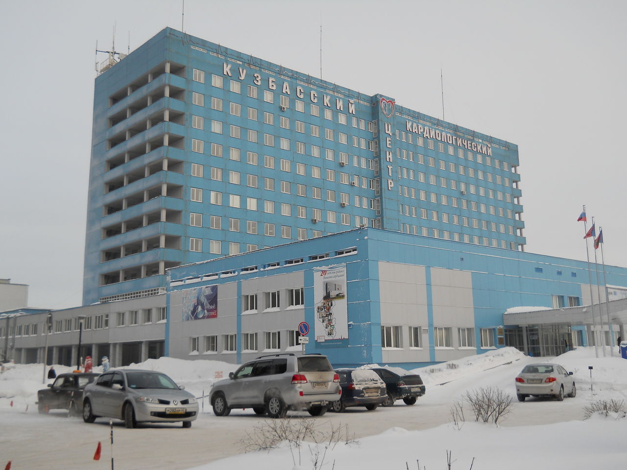 За этого кота пенсионеру предлагали 450 тысяч. Взгляните на это чудо За этого кота пенсионеру предлагали 450 тысяч. Взгляните на это чудо