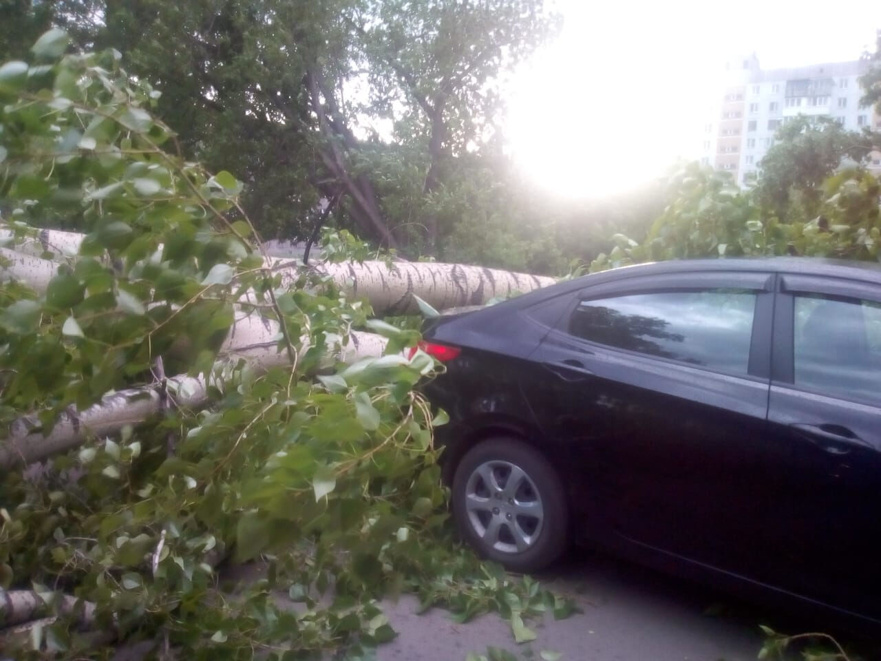 Ураган в новокузнецке сегодня. Ураган в Новокузнецке. Последствия урагана в Новокузнецке. Ураган в Новокузнецке вчера. Сильный ветер в Новокузнецке в 2019.