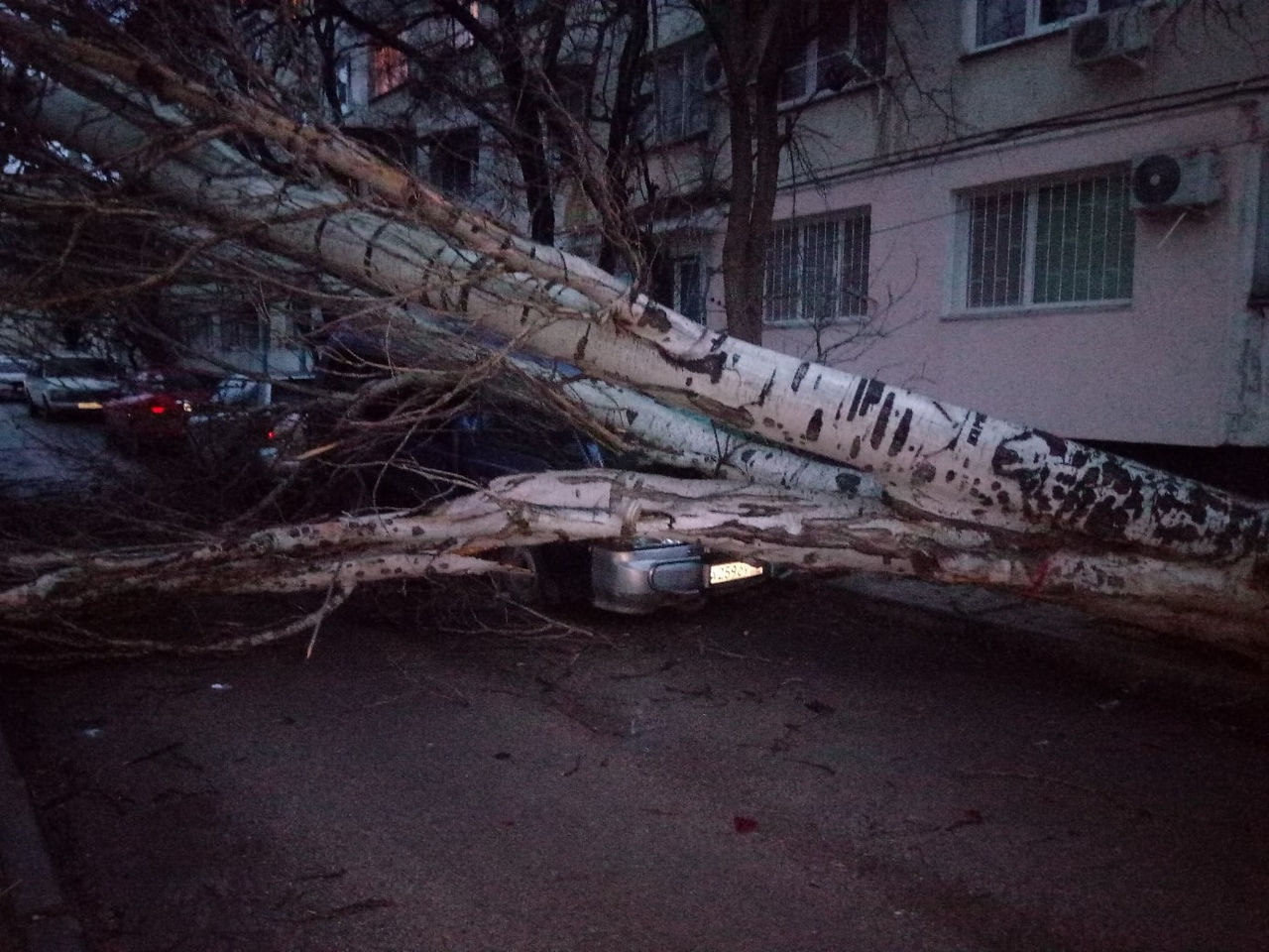 Севастополь автомобиль напрокат