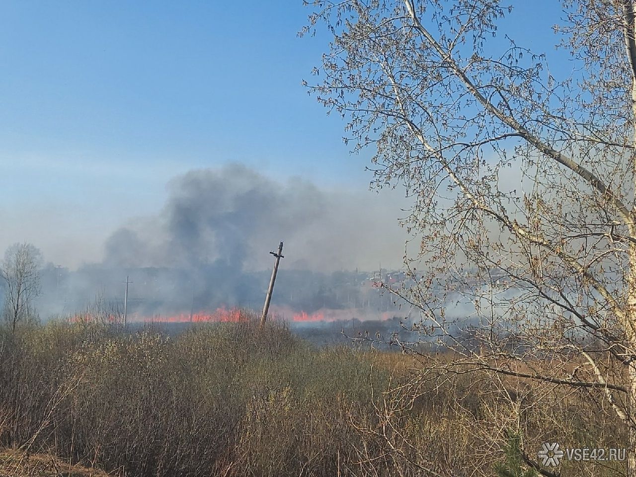 Пожарные поле. Пожар в поле. Сгоревшее поле. Пожар осенью в поле. Пожар в поле весной.