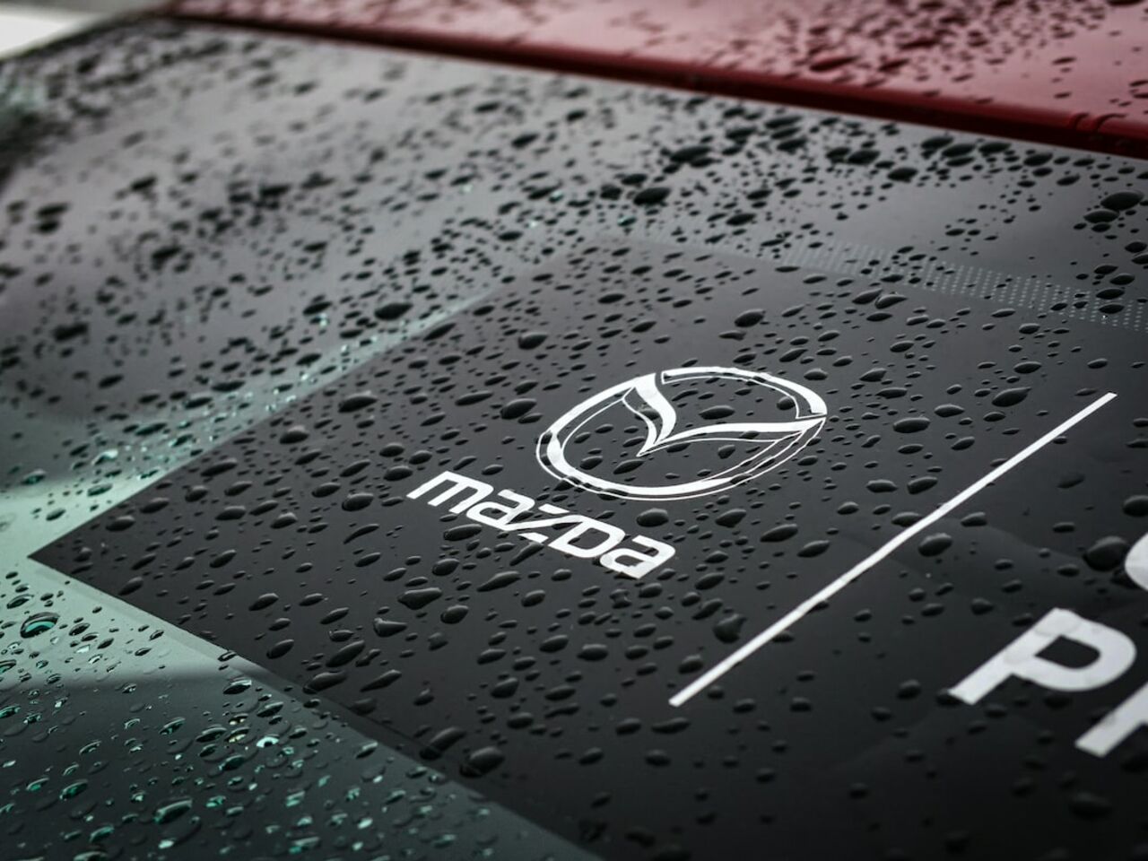Пао соллерс авто