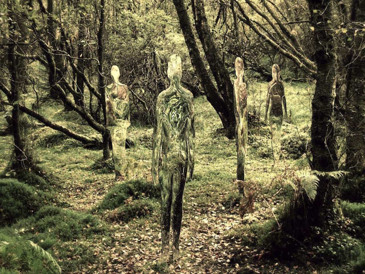 Стеклянные скульптуры в шотландском лесу Роб Малхолланд
