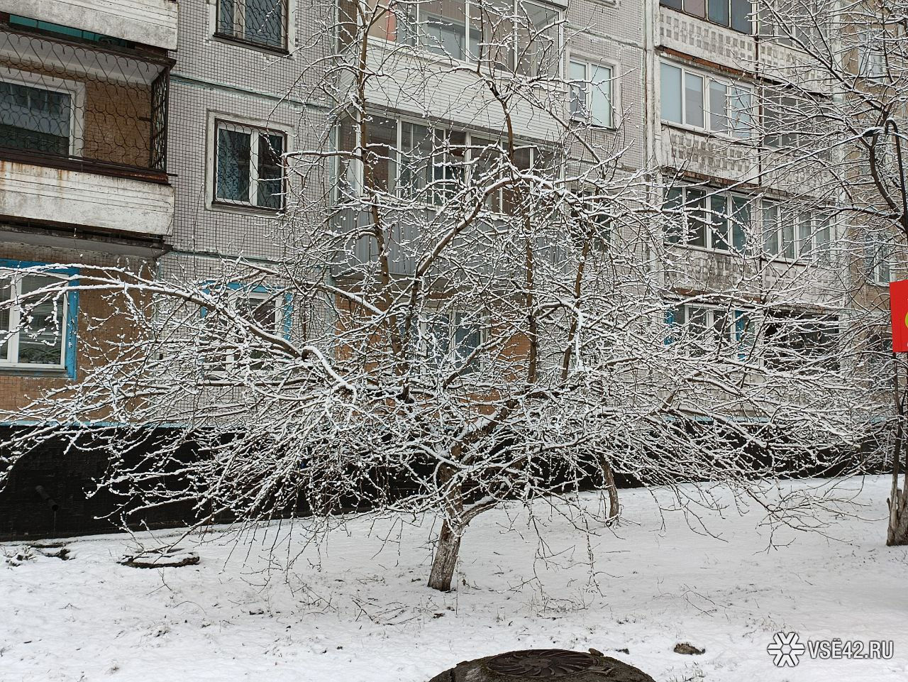 Трудно заметить залегшего в снегу. Снегопад в городе. Снег в городе. Заснеженный город. Снег в апреле.