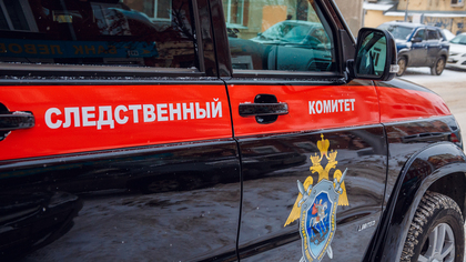 Председатель СК РФ поручил возбудить уголовное дело на бросившего в сугроб младенца блогера