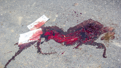 "Крови очень много": машина сбила пешехода на "зебре" в Новокузнецке