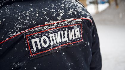 Полицейские нашли пропавшую в Красноярском крае девочку