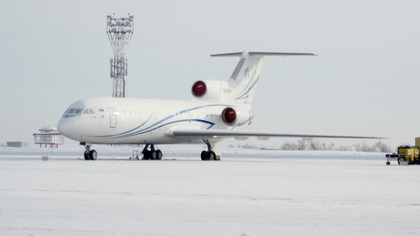 Самолет попал в стаю птиц при заходе на посадку в аэропорт Пулково