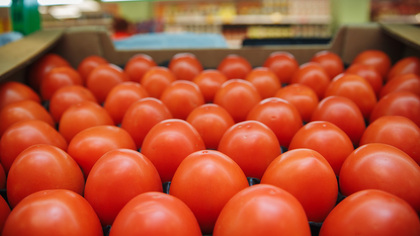 Ученые объяснили россиянам почему у помидоров из магазина нет вкуса 