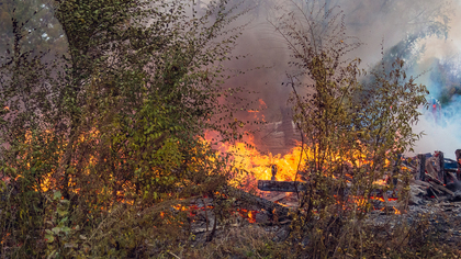 Поселения в пригороде Афин начали эвакуацию из-за масштабного пожара