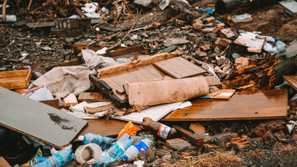 Заваленный мусором парк возмутил кемеровчан