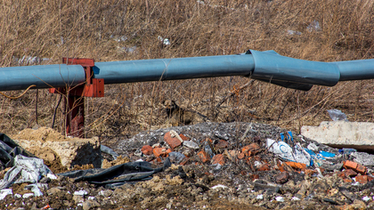 "Город зарос мусором": грязная территория около школы возмутила кузбассовца