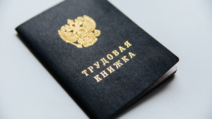 Власти запретили мигрантам работать в такси и общепите в Томской области