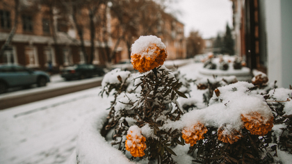 Первый снег накрыл кузбасские города