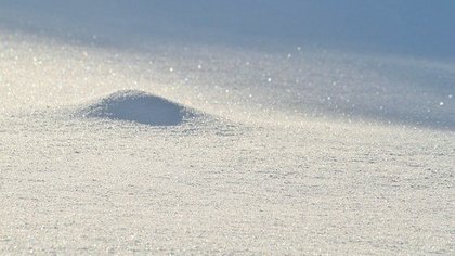 Огражденный лентой снег возмутил кузбассовца