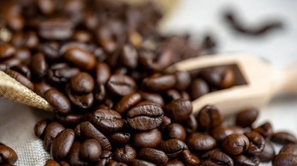 Доктор Мясников заявил о пользе кофе для сердечников