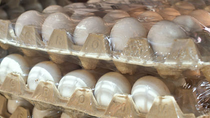Жители Екатеринбурга начали облизывать яйца ради компенсации в 1 миллион рублей