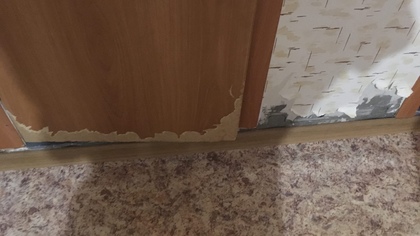 Девушка в Подмосковье оставила владельцам квартиры крупный долг за ЖКУ и тараканов