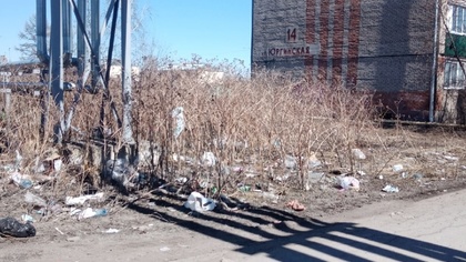 Разбросанный на улице мусор возмутил жителей Ленинска-Кузнецкого