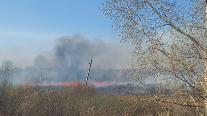 Пожар в поле напугал жителей пгт Грамотеино
