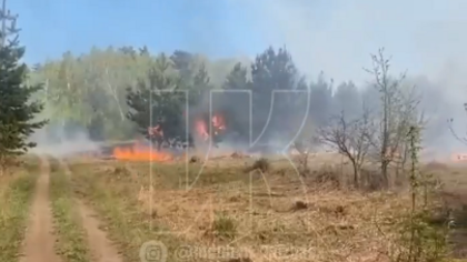Пожар произошел у природного парка в Новокузнецке