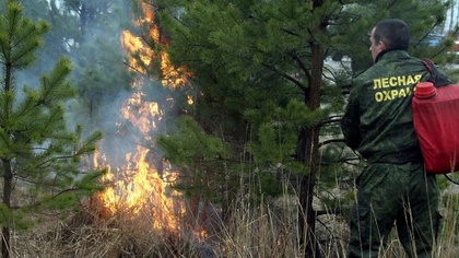 Прокуратура зафиксировала десятки нарушений и 90 лесных пожаров в Кузбассе