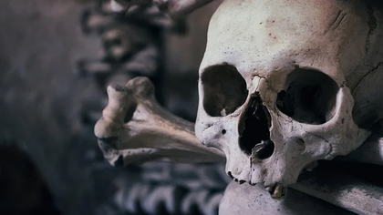 Женщина нашла сверток с костями в Химках