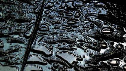 Нефтяное пятно образовалось на реке во Владимирской области