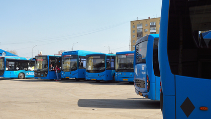 Три автобусных маршрута будут отменены на День города в Кемерове