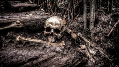Россиянин нашел одетый скелет около трассы