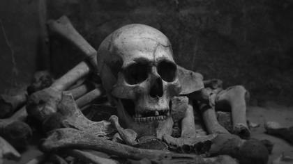 СК начал проверку по факту обнаружения человеческих костей в Саратовской области