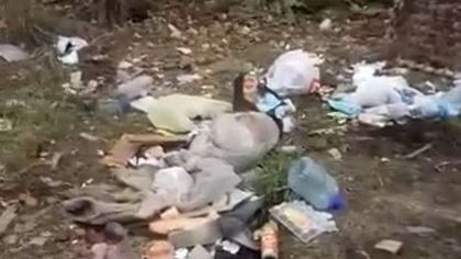 Кучи отходов после приезда мусорщиков разозлили кузбассовцев