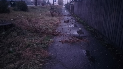 Кузбасские рабочие разбросали скошенную траву на дороге