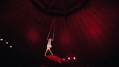 Воздушная гимнастка упала на репетиции в московском цирке