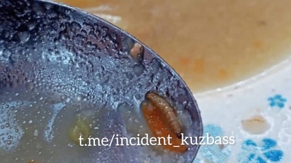 Червь в супе из столовой возмутил кузбасских школьников