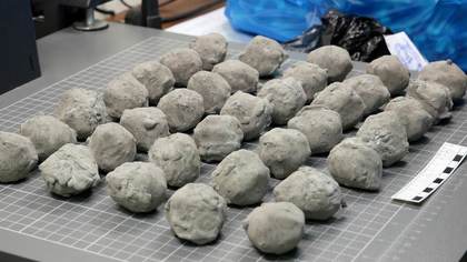 Жители Пятигорска замаскировали наркотики под камни