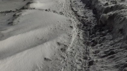 Снег сделал кузбасские улицы непроходимыми