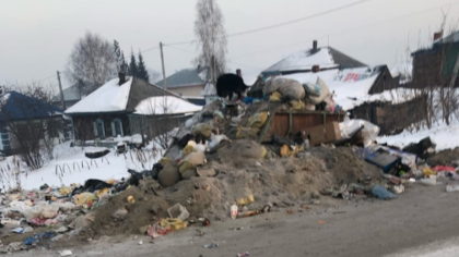 Кузбассовцев возмутила "обычная мусорка"