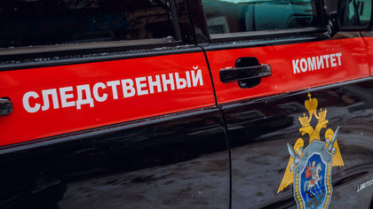 Следком начал проверку по факту избиения школьницы в Прокопьевске
