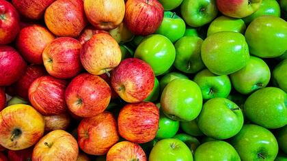 Российский нутрициолог объяснила разницу в пользе между яблоками разных цветов