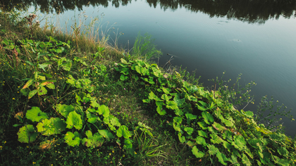 Подросток героически погиб в озере под Новосибирском