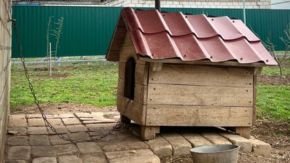 Потерявший жилье пожилой россиянин жил в собачьей будке