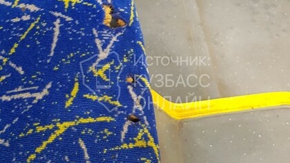 "Скрытые металлические штыри": состояние сидений в автобусе разгневало новокузнечанина