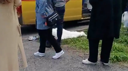 Ребенок попал под колеса автомобиля в кузбасском городе