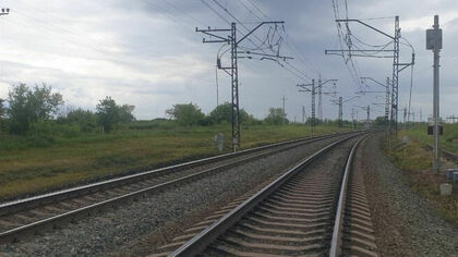 Подросток умер после попадания под грузовой поезд в Подмосковье