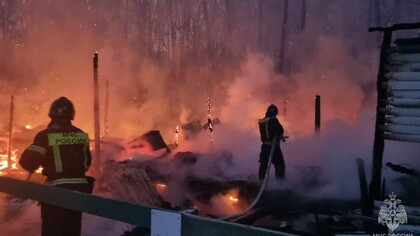 Восемь лошадей погибли при возгорании конюшни в Москве